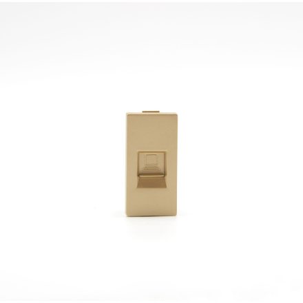 Z-Switch RJ45 CAT6 Internet aljzat (1 modulos) Arany